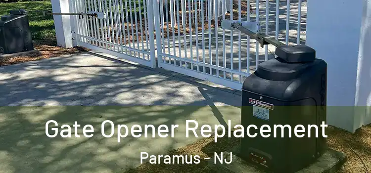 Gate Opener Replacement Paramus - NJ